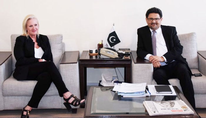 وزیر خزانہ مفتاح اسماعیل سے امریکی ناظم الامور انجیلا ایگلر کی ملاقات