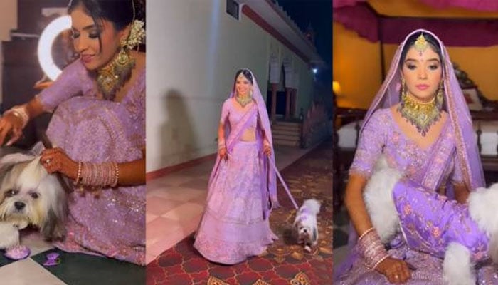 دلہن کی شادی پر اپنے پالتو کتے کیساتھ ملتے جلتے رنگوں کے لباس پہنے انٹری