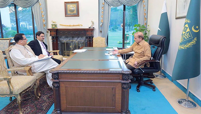 وزیراعظم سے وزیر خزانہ مفتاح اسماعیل کی ملاقات