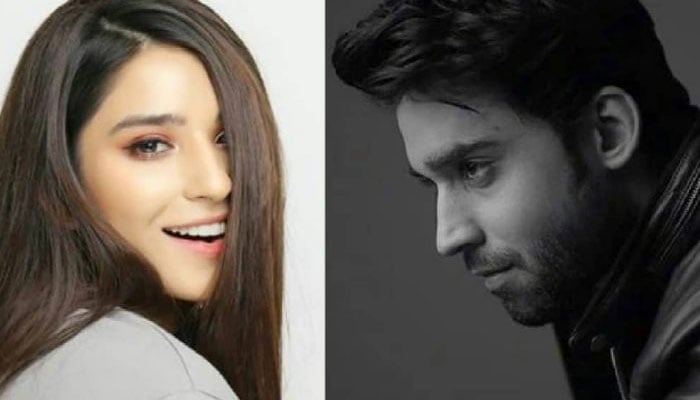Bilal Abbas Khan unfollows rumored beau Ramsha Khan from Instagram: See 