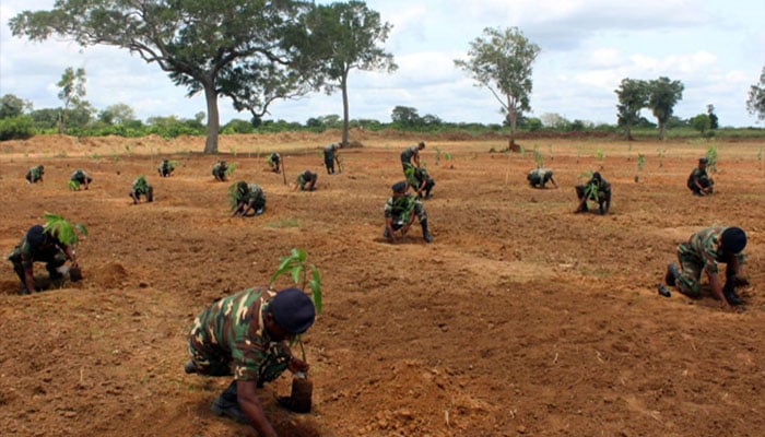 غذائی بحران شدید تر، سری لنکن فوج کھیتی باڑی کرے گی