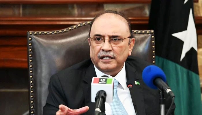 ہم سب نے وقت سے بہت کچھ سیکھا ہے، آصف زرداری