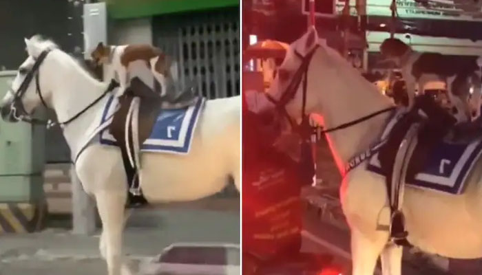 اسکرین گریب