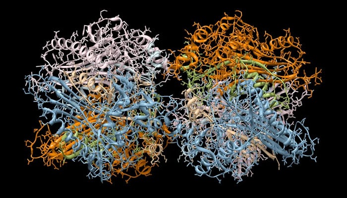 ایلفا فولڈ پروگرام کی مدد سے تشکیل دی گئی پروٹین کی ساخت