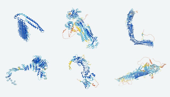 مصنوعی ذہانت سے لی گئی پروٹین فولڈنگ کی 3D تصویر