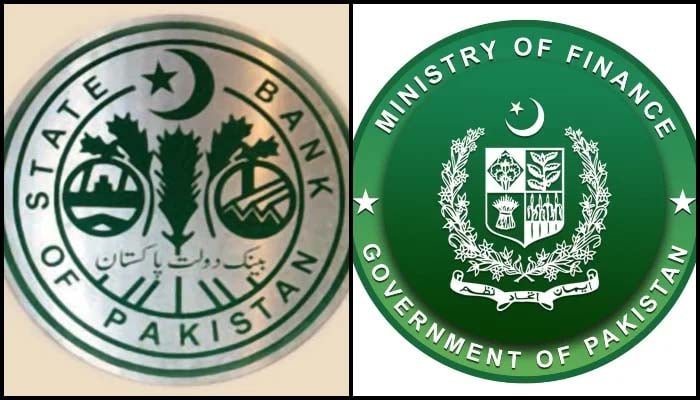 پاکستان کے مسائل عارضی نوعیت کے ہیں، وزارت خزانہ اور اسٹیٹ بینک