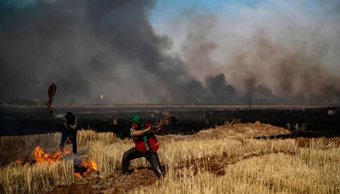 کردیش کاشت کار شام کے شمال مشرقی صوبہ حسقہ میں گندم کے کھیت میں لگی قدرتی آگ سے لڑ رہے ہیں۔