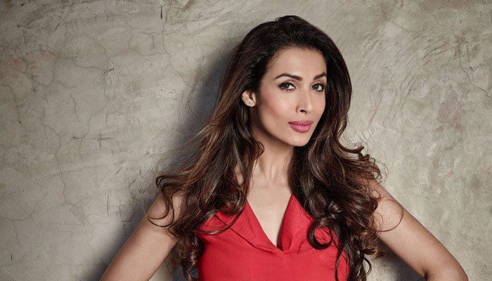 Malaika Arora grooves to 'Chaiyya Chaiyya' in red bodycon, video goes viral 