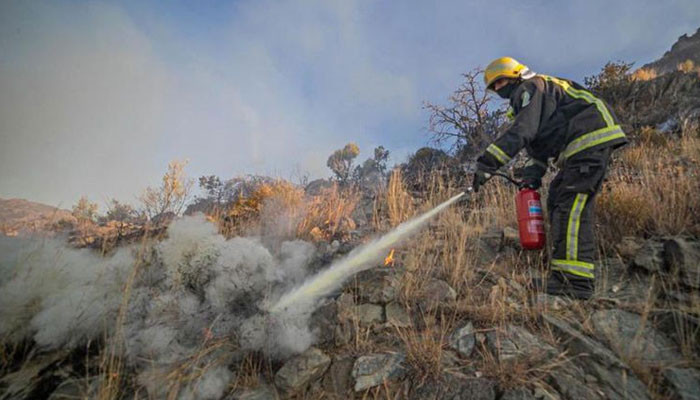 Saudi Arabia: Setting fires in forests is a serious crime 1 Saudi Arabia: Setting fires in forests is a serious crime