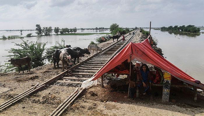 ضلع راجن پور سیلابی پانی میں ڈوب گیا
