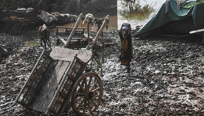 مورو، فصل بچانے کیلئے وڈیروں نے سیلابی ریلا آبادی میں چھوڑ دیا