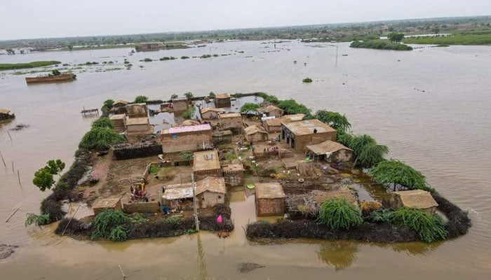 سندھ: بارشوں سے مختلف حادثات، 347 افراد جاں بحق، رپورٹ جاری