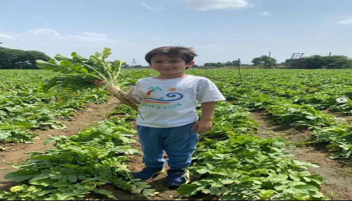 Kareena Kapoor Khan prepares 'garam mooli ke parathe with ghee' for Taimoor's lunch