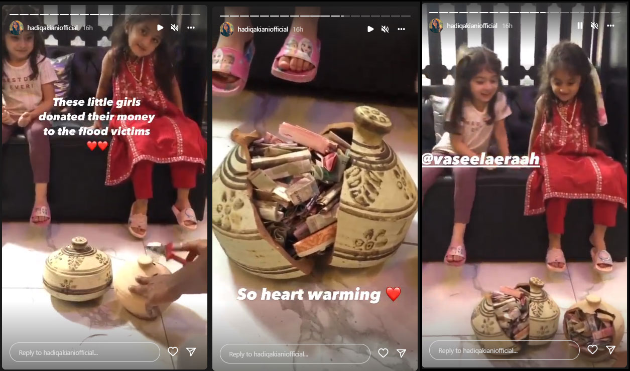 حدیقہ کیانی کو کس کی مدد کا انداز پسند آگیا؟