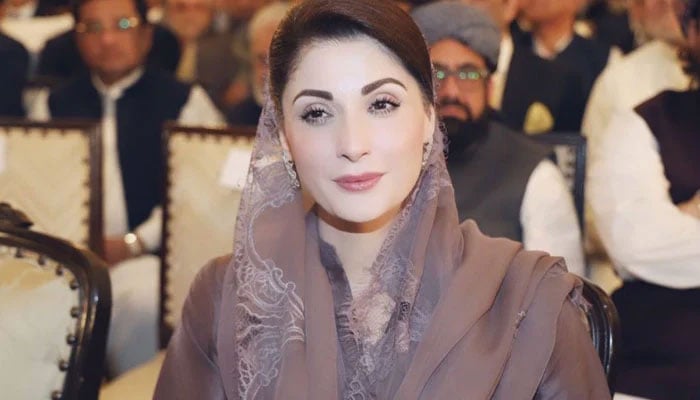 مریم نواز، فائل فوٹو