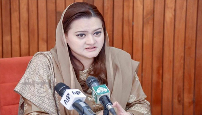 1200 people including 400 children died due to flood, Federal Minister of Information