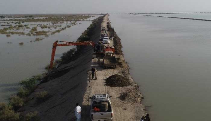 Two more cuts were installed on the dam in Manchhar Lake, water began to flow