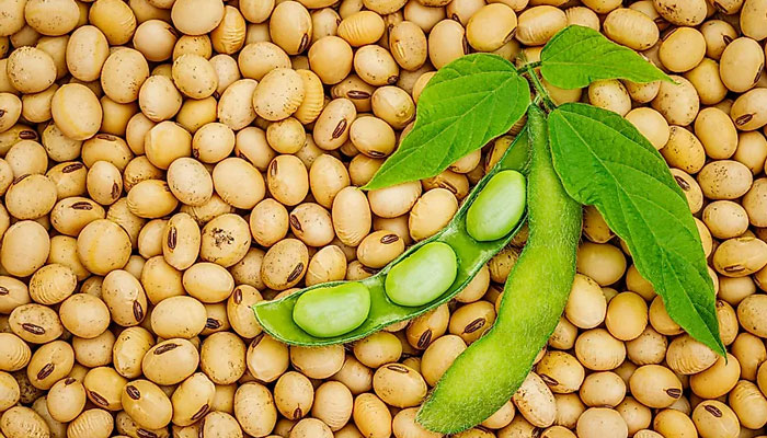 دودھ کے علاوہ کیلشیم کیسے حاصل کرسکتے ہیں؟