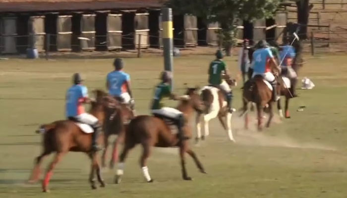 فوٹو: اسکرین گریب