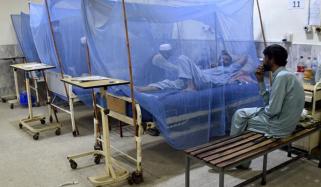 اسلام آباد میں ڈینگی کے مریضوں میں اضافہ