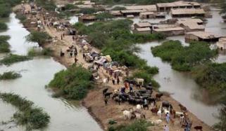 سندھ: سیلاب سے کئی متاثرین کھلے آسمان تلے بے یارو مددگار