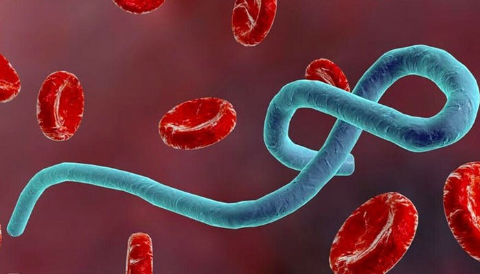 Ebola virus: instructions for strict surveillance of entry points into the country