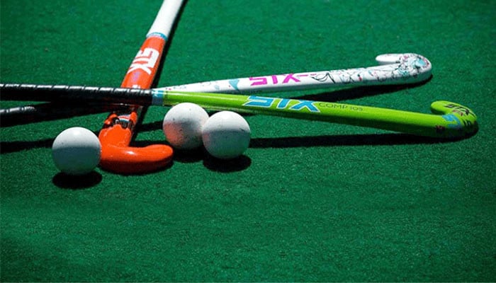 2 players fired for playing hockey league abroad without permission