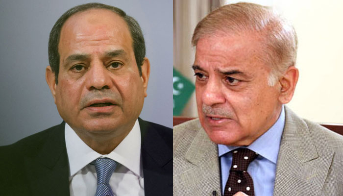 وزیراعظم سے مصری صدر کا ٹیلیفون پر رابطہ، سیلاب کے نقصانات پر اظہار ہمدردی