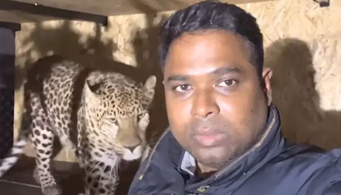 Indian doctor’s appeal to Ukraine to rescue his leopard and panther