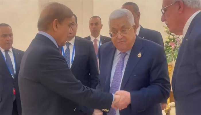 شہباز شریف اور فلسطینی صدر محمود عباس کی ملاقات