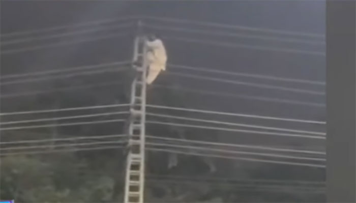 پی ٹی آئی کارکن کھمبے پر چڑھنے کے باعث بجلی کے جھٹکے سے نیچے گرگیا