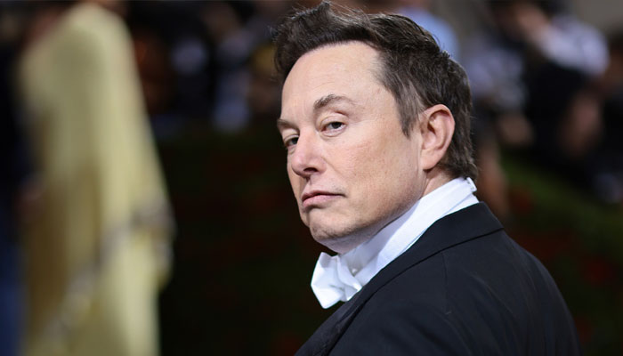 What should Twitter do next, Elon Musk asks