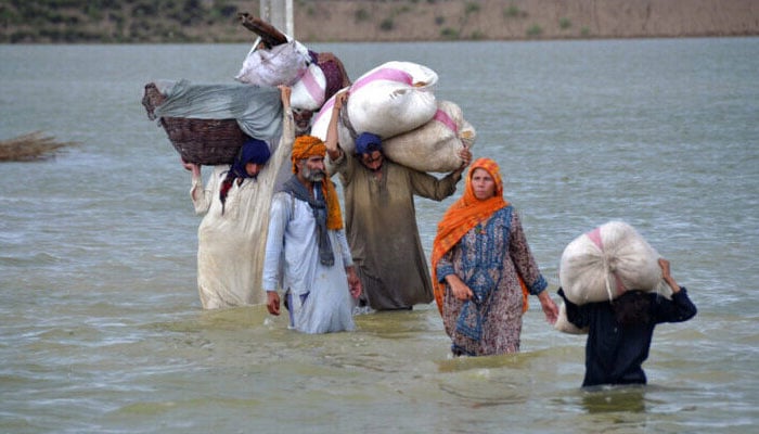 2022ء میں پاکستان کے زرعی شعبہ کو ریکارڈ بارشوں اور سیلابوں نے ناقابلِ تلافی نقصان پہنچایا