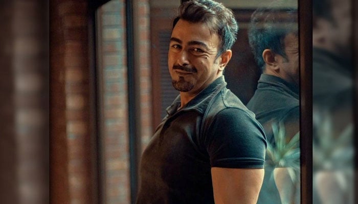 شان شاہد نے بھارتی فلم ’گجنی‘ میں کام کرنے سے کیوں انکار کیا تھا؟