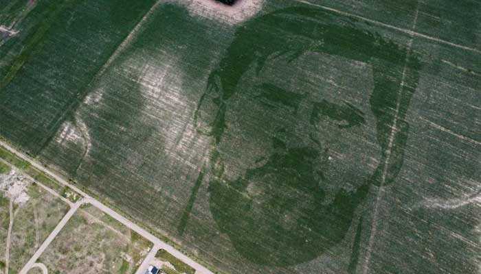 کسان نے مکئی کے کھیت میں میسی کا خاکہ بنا دیا