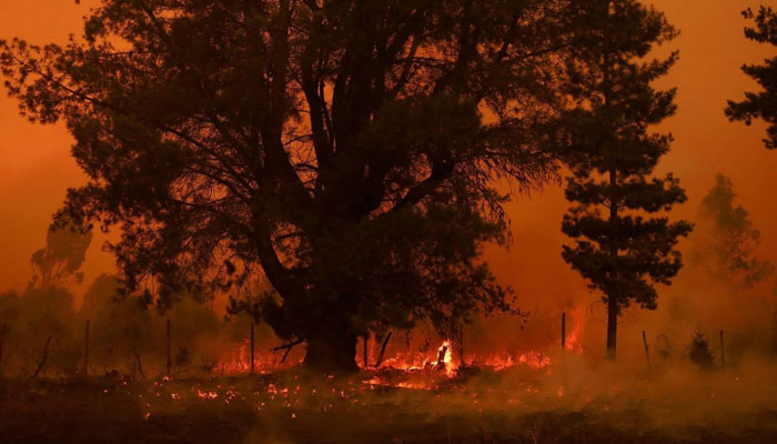 چلی میں ہیٹ ویو، جنگلات میں متعدد مقامات پر لگی آگ بے قابو، 23 افراد ہلاک