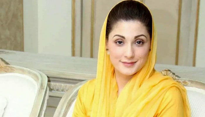 مجھے سیاست میں لانے والے میرے مخالفین ہیں، مریم نواز