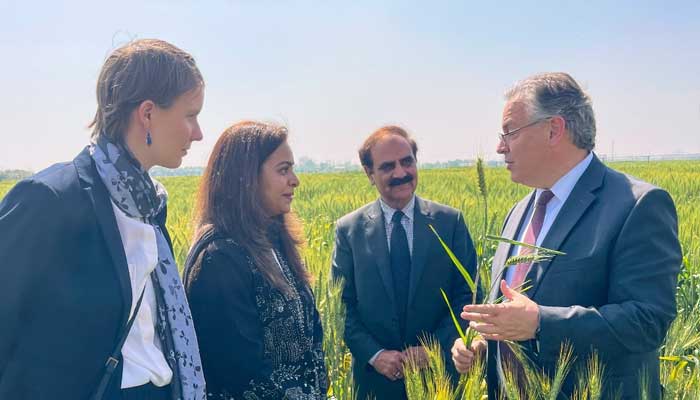 امریکی محکمہ زراعت پاکستان میں فرٹیلائزر رائٹ پروگرام شروع کرے گا