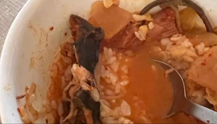 امریکی ریسٹورنٹ میں خاتون کے کھانے سے مرا ہوا چوہا نکل آیا