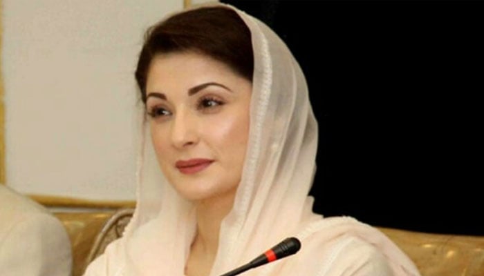 چیف آرگنائزر ن لیگ مریم نواز کا ایم این اے محسن داوڑ کو جواب