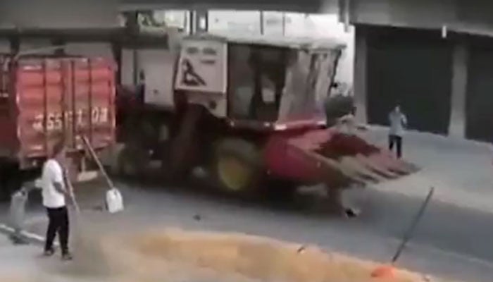 فوٹو، اسکرین گریب