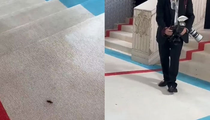 فوٹو، ٹوئٹر