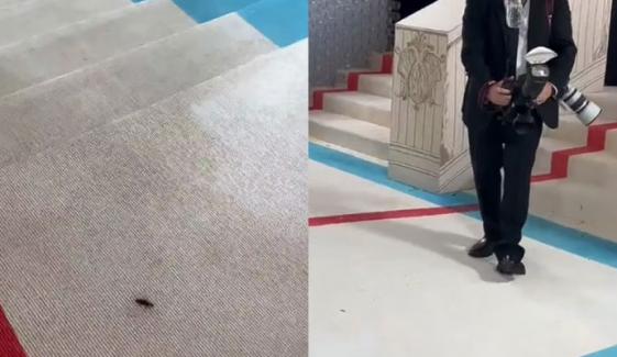 میٹ گالا میں ’لال بیگ‘ کی انٹری نے ہلچل مچادی 