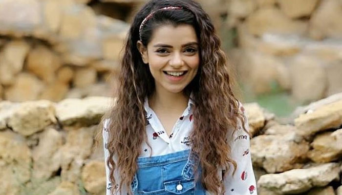 صرحا اصغر، فائل فوٹو