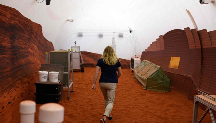 ناسا کی تیار کردہ تجرباہ گا، جسے مریخ کی نقل کرتے ہوئے تیار کیا گیا ہے۔ تصویر  بشرکریہ جاپان ٹائمز