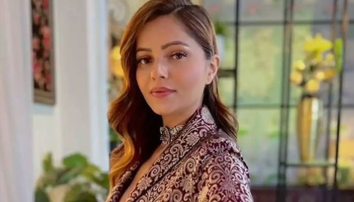 روبینہ دلیک، فائل فوٹو