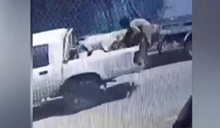 چلتی گاڑی سے بکرا چوری، ویڈیو وائرل