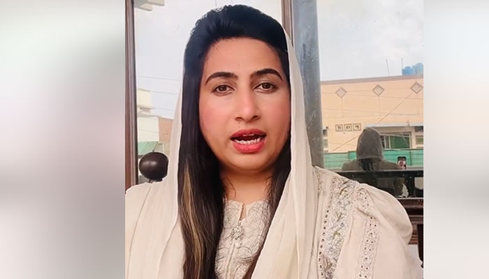 سمیرا ملک کا پی ٹی آئی سے علیحدگی کا اعلان