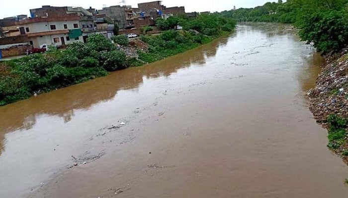 راولپنڈی، ایک شخص نالہ لئی میں گرگیا، تلاش جاری