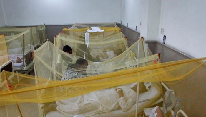 فوٹو بشکریہ سوشل میڈیا